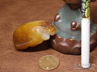 天然新疆和田玉黑皮黄沁籽料龙龟把件 玉种肉沁鸡油黄沁 苏